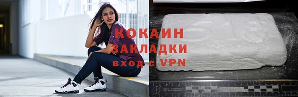 прущие грибы Осинники