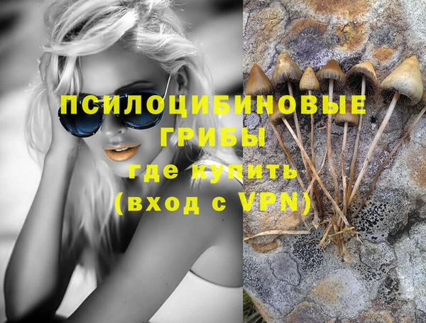 МДПВ Остров