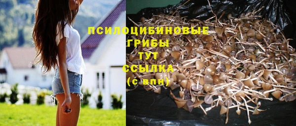 гашишное масло Осташков