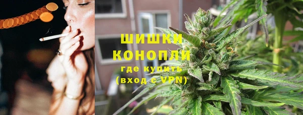 прущие грибы Осинники