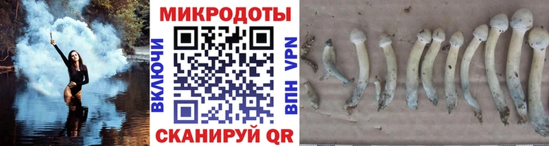 кракен сайт  цена наркотик  Ртищево  Галлюциногенные грибы ЛСД 