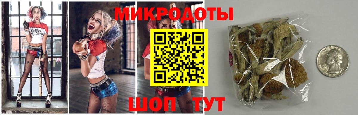 Галлюциногенные грибы мухоморы Ртищево